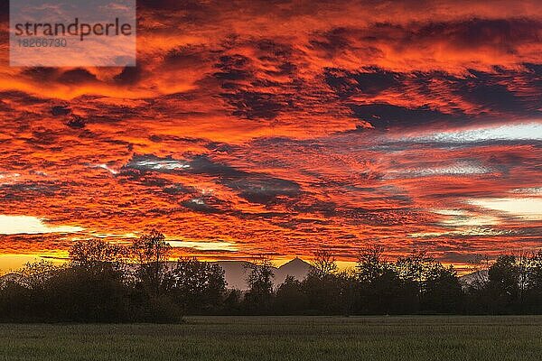 Schöner glühender Himmel über der Ebene im Sonnenuntergang. Elsass  Frankreich  Europa