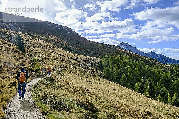Wanderer am Panoramaweg zur Staffelalm  Sonntagsweide  Klammeben am Hirzer bei Saltaus  Passeier Tal  Südtirol  Italien  Europa