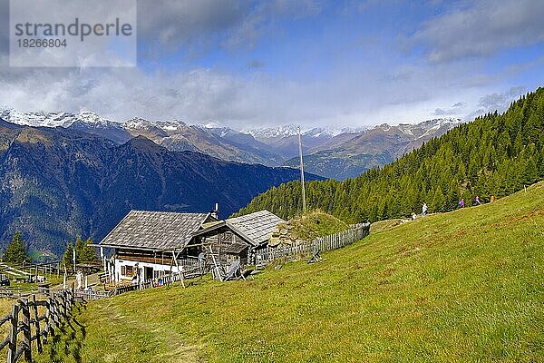 Reseeger Alm  Tallner Almboden  Klammeben  Hirzer bei Saltaus  Passeier Tal  Südtirol  Italien  Europa