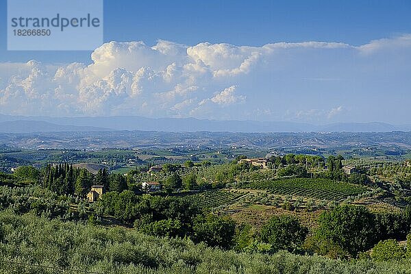 Landschaft bei Montaione  Provinz Florenz  Toskana  Italien  Europa