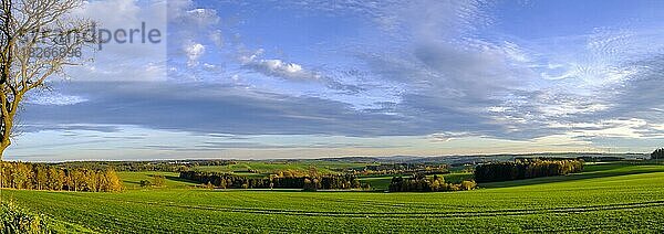 Landschaft im Naturpark Thüringer Schiefergebirge Obere Saale bei Bad Lobenstein  Thüringen  Deutschland  Europa