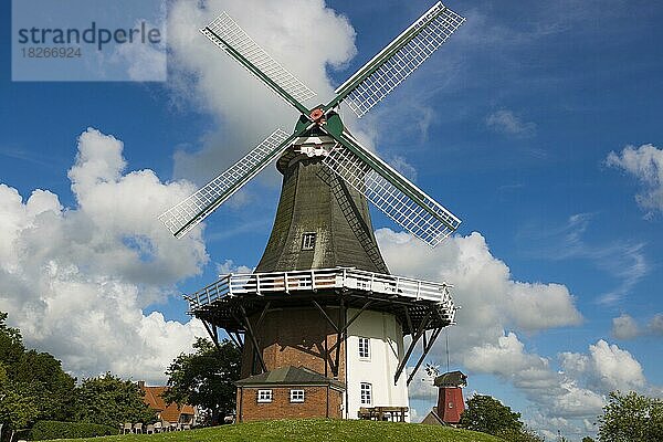 Windmühlen  Greetsiel  Ostfriesland  Niedersachsen  Deutschland  Europa