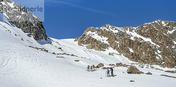 Gruppe von Skitourengehern beim Aufstieg zum Berglasferner  Blick auf Gipfel des Vorderen Hinterbergl  Berglastal  Stubaier Alpen  Tirol  Österreich  Europa