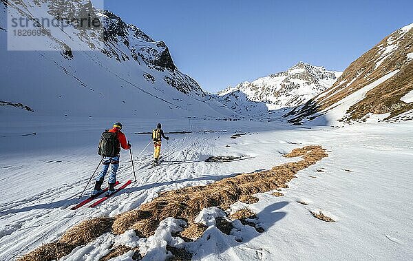 Skitourengeher im Oberbergtal  verschneite Berge mit Gipfel Aperer Turm  Stubaier Alpen  Tirol  Österreich  Europa