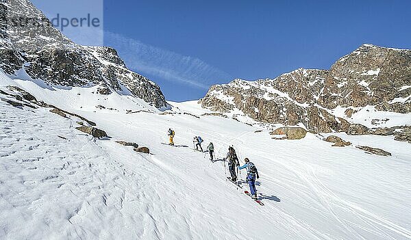 Gruppe von Skitourengehern beim Aufstieg zum Berglasferner  Blick auf Gipfel des Vorderen Hinterbergl  Berglastal  Stubaier Alpen  Tirol  Österreich  Europa