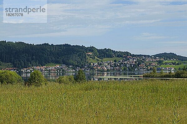 Ortsansicht mit Hopfensee  Hopfen am See  Allgäu  Bayern  Deutschland  Europa