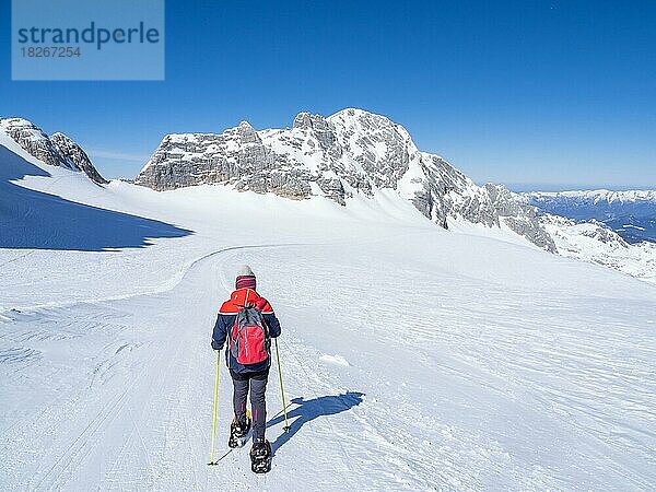 Schneeschuhwanderin am Hallstätter Gletscher  Hallstätter Gletscher  Dachsteinmassiv  Steiermark  Österreich  Europa