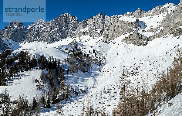 Blauer Himmel über Winterlandschaft  schneebedeckte Alpengipfel  Dachstein Südwand  Steiermark  Österreich  Europa