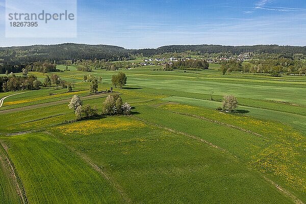 Spital bei Weitra  Feldweg und Landschaft  bei Weitra  Waldviertel  Niederösterreich  Österreich  Europa