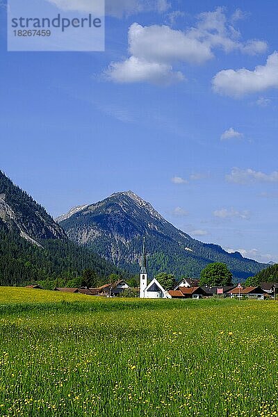 Graswang  im Graswangtal  Ammergauer Alpen  Oberbayern  Bayern  Deutschland  Europa