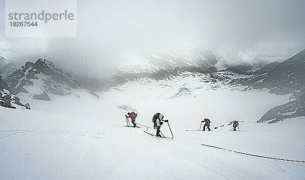 Skitourengeher beim Aufstieg am Seil  Aufstieg zur Oberen Kräulscharte  Gletscher Sommerwandferner  wolkenverhangene Berge  Stubaier Alpen  Tirol  Österreich  Europa
