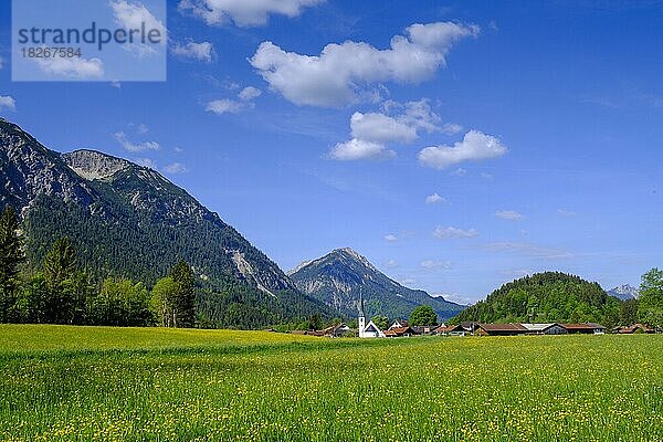 Graswang  im Graswangtal  Ammergauer Alpen  Oberbayern  Bayern  Deutschland  Europa