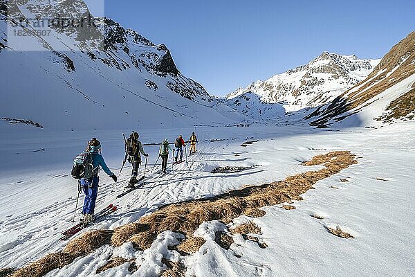 Gruppe Skitourengeher im Oberbergtal  verschneite Berge mit Gipfel Aperer Turm  Stubaier Alpen  Tirol  Österreich  Europa