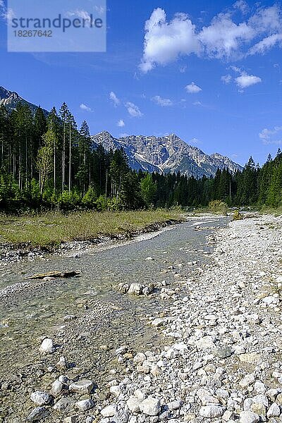 Linder bei Linderhof  im Graswangtal  Ammergauer Alpen Oberbayern  Bayern  Deutschland  Europa