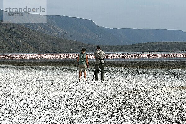 Fotograf fotografiert Flamingos (Phoenicopteridae) am Nakurusee  Salzsee  Rift Valley  Kenia  Afrika