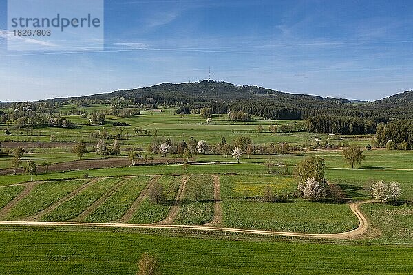 Landschaft mit berg Nebelstein bei Weitra  Waldviertel  Niederösterreich  Österreich  Europa