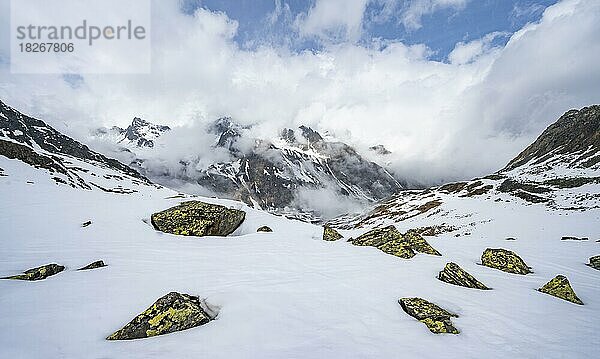 Mit gelben Flechten bewachsene Felsen im Schnee  wolkenverhangene Berge  SKitour zur Oberen Kräulscharte  Stiergschwez  Stubaier Alpen  Österreich  Europa