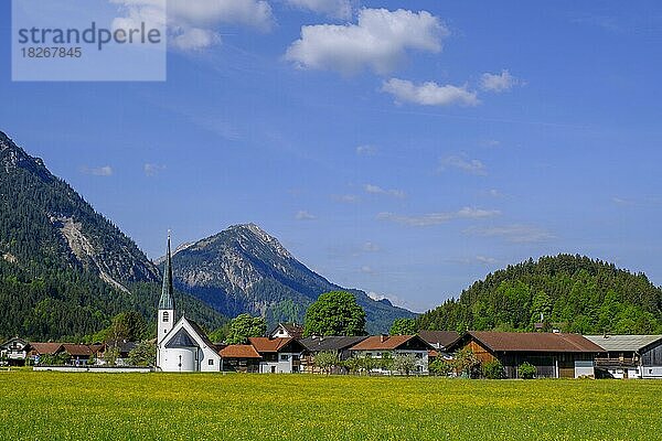 Graswang  im Graswangtal  Ammergauer Alpen  Oberbayern  Bayern  Deutschland  Europa