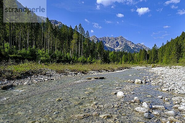 Linder bei Linderhof  im Graswangtal  Ammergauer Alpen Oberbayern  Bayern  Deutschland  Europa