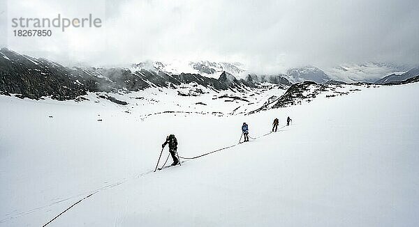 Skitourengeher beim Aufstieg am Seil  Aufstieg zur Oberen Kräulscharte  Gletscher Sommerwandferner  Stubaier Alpen  Tirol  Österreich  Europa