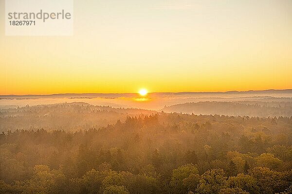 Wald im Sonnenaufgang mit Nebel  Herrenberg  Deutschland  Europa