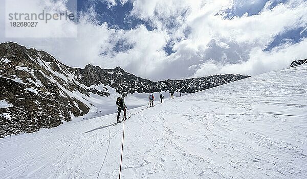 Gruppe Skitourengeher beim Aufstieg am Seil  am Alpeiner Ferner  Aufstieg zur Oberen Hölltalscharte  Stubaier Alpen  Tirol  Österreich  Europa