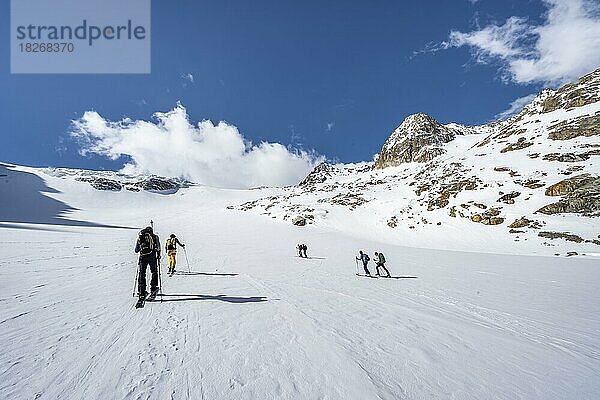 Gruppe Skitourengeher beim Aufstieg zum Alpeiner Ferner  schneebedeckte Berglandschaft mit Gletscher  Stubaier Alpen  Tirol  Österreich  Europa