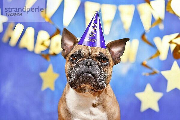 Französische Bulldogge mit Silvesterparty-Hut vor blauem Hintergrund mit goldenen Girlanden