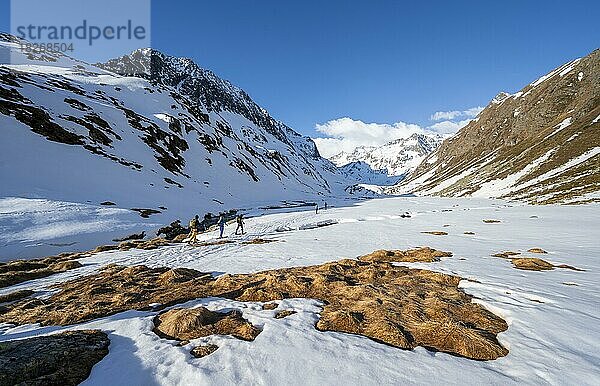 SKitourengeher in einem Tal am Oberbergbach  verschneite Berge  Franz-Senn-Hütte  Stubaier Alpen  Tirol  Österreich  Europa