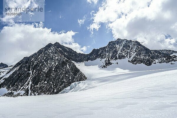 Gletscher Alpeiner Ferner und Gipfel Westliche Seespitze  Stubaier Alpen  Tirol  Österreich  Europa