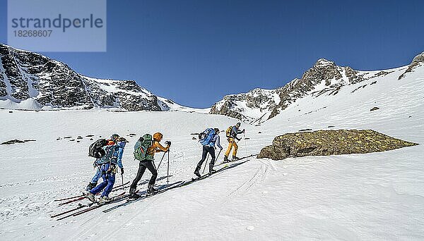Gruppe Skitourengeher beim AUfstieg zum Lisenser Ferner  Berglastal  hinten Gipfel Vorderes Hinterbergl  Stubaier Alpen  Tirol  Österreich  Europa
