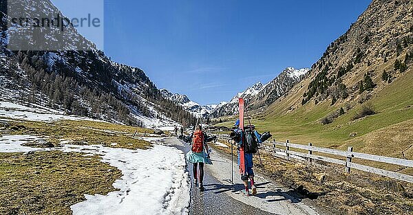 Skitourengeher tragen Ski am Rucksack bei wenig Schnee im Frühjahr  Aufstieg zur Franz-Senn-Hütte  Oberbergtal  Seduck  Tirol  Österreich  Europa