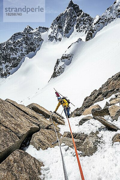 Skitourengeher beim Abstieg am Seil an der Turmscharte  Ausblick auf den Gletscher Verborgen-Berg Ferner mit Gipfel Schrandele  Stubaier Alpen  Tirol  Österreich  Europa