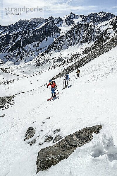 Skitourengeher beim Aufstieg zum Lisenser Ferner  Berglastal  Ausblick auf Berge und Gletscher mit Gipfel Östliche Seespitze und Innere Sommerwand  Stubaier Alpen  Tirol  Österreich  Europa