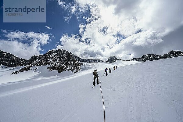 Gruppe Skitourengeher beim Aufstieg am Seil  am Alpeiner Ferner  Aufstieg zur Oberen Hölltalscharte  Stubaier Alpen  Tirol  Österreich  Europa