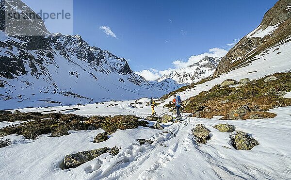 Skitourengeher im Oberbergtal  verschneite Berge mit Gipfel Aperer Turm  Stubaier Alpen  Tirol  Österreich  Europa