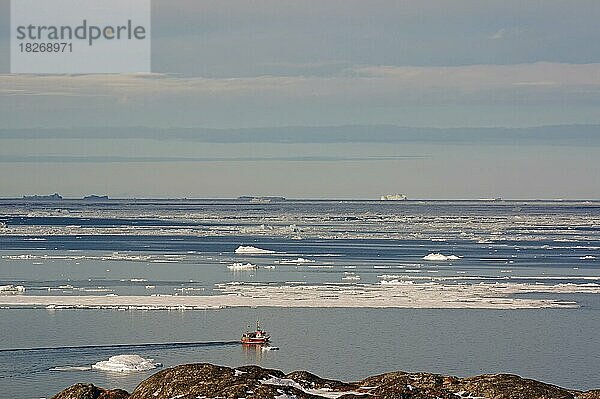 Boot vor Treibeisfeldern und Eisbergen  Winter  Fischerei  Diskobucht  Ilulissat  Arktis  Grönland  Dänemark  Nordamerika