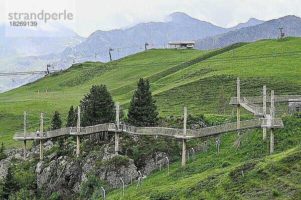 Hängebrücke im Bärenland  Arosa  Kanton Graubünden  Schweiz  Europa