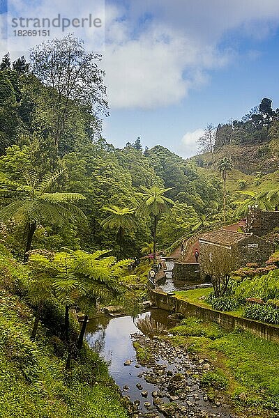 Insel Sao Miguel  Azoren  Portugal  Europa