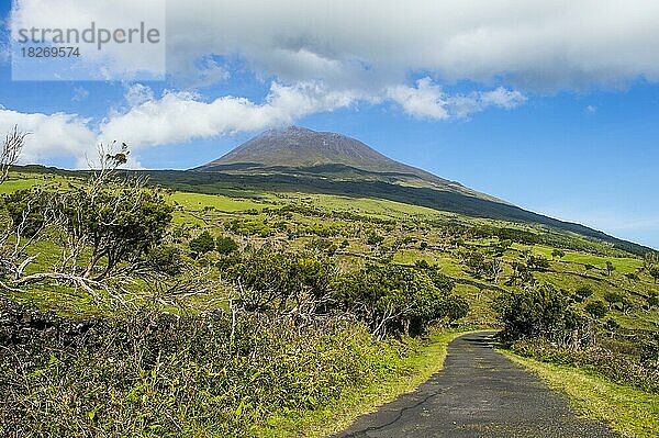 Straße unterhalb von Ponta do Pico höchster Berg Portugals  Insel Pico  Azoren  Portugal  Europa