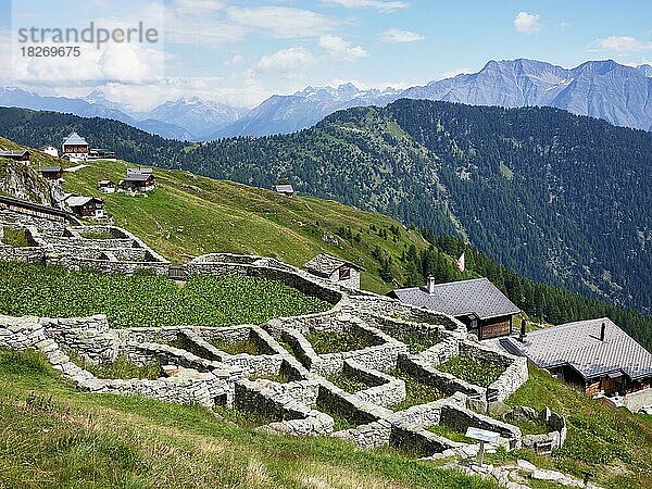 Gehege aus Trockenmauern für die traditionelle Almbewirtschaftung das ursprünglich als Viehscheid benutzt wurde  Belalp  Kanton Wallis  Schweiz  Europa