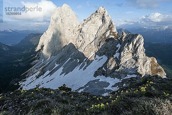 Abenstimmung  Gipfel des Gimpel und der Roten Flüh  Tannheimer Berge  Allgäuer Alpen  Tirol  Österreich  Europa