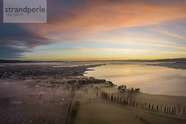 Luftbild vom westlichen Bodensee vor Sonnenaufgang mit Bodennebel im Radolfzeller Aachried  links die Stadt Radolfzell mit der Halbinsel Mettnau  Landkreis Konstanz  Baden-Württemberg  Deutschland  Europa