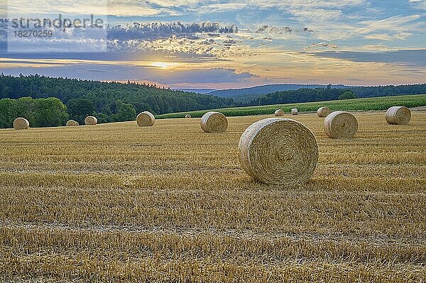 Landschaft mit Heuwiese und Strohballen bei Sonnenuntergang  Großheubach  Miltenberg  Spessart  Franken  Bayern  Deutschland  Europa