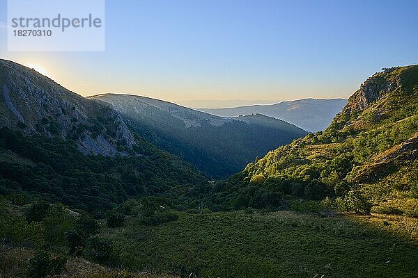 Bergkette  Bergkam  morgen  Sommer  Hohneck  La Bresse  Vogesen  Elsass-Lothringen  Frankreich  Europa