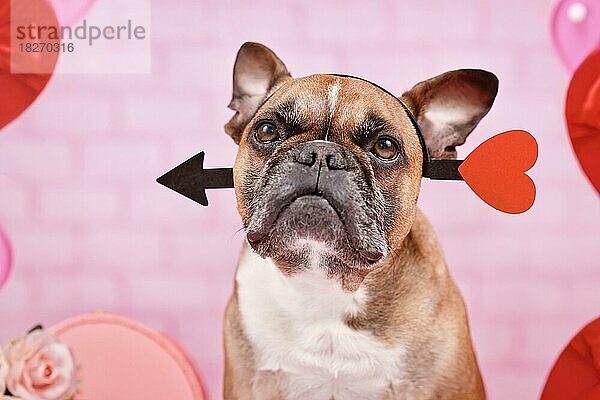 Französische Bulldogge Hund mit Valentinstag Liebe Pfeil Stirnband auf rosa Hintergrund