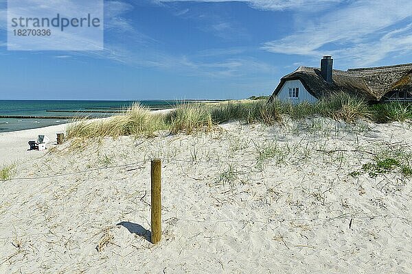 Haus mit Reetdach in Ahrenshoop an der Ostsee  Mecklenburg-Vorpommern  Deutschland  Europa