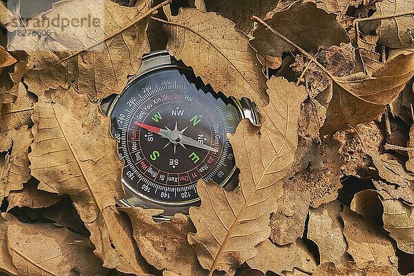 Kompass zwischen den trockenen Blättern
