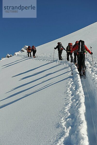 Skitour Bortelhorn  Gruppe im Aufstieg mit Ski und Rucksack  von hinten.  Ried-Brig  Wallis  Schweiz  Europa