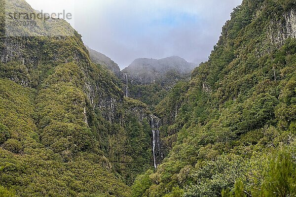 Wasserfall Cascata do Risco zwischen dicht bewaldeten Bergen  Rabacal  Paul da Serra  Madeira  Portugal  Europa